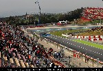541